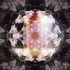 Spring Equinox : Quantum Leap Timelines Opportunity @ On Zoom